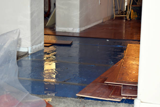 Professional Water Damage Restoration technician working in Burr Hill, VA